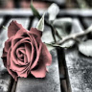 Meet your Posher, Unique